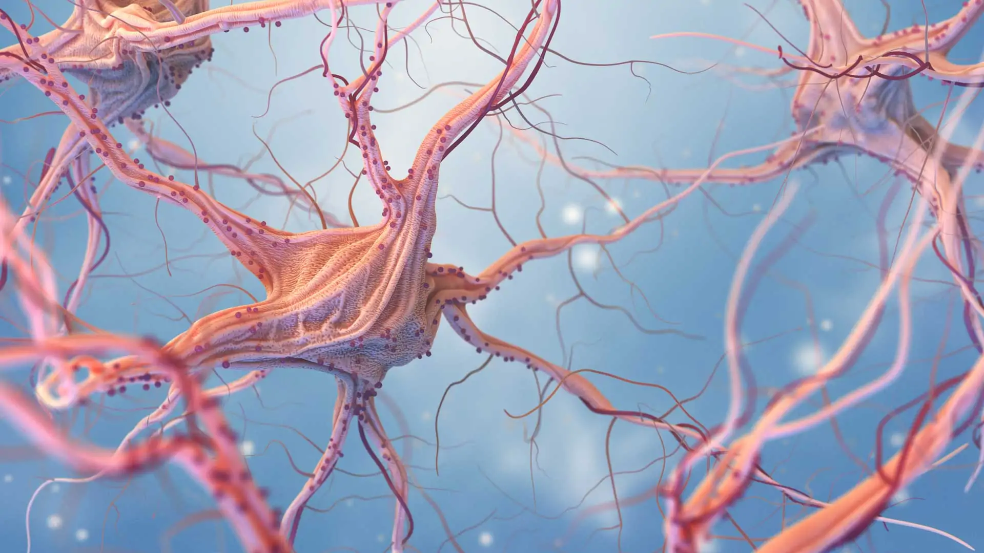 Neuroxeirourgio
